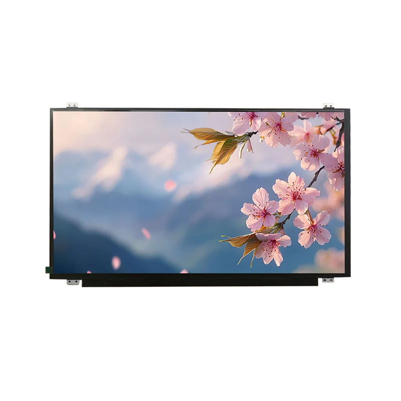 15,6 'HD szerokie temp IPS TFT LCD Moduł ekranowy